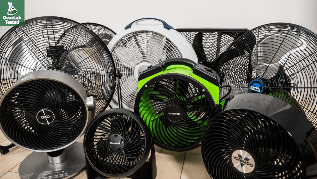 Best Floor Fans of 2024